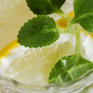 Closeup glass of fresh alcohol drink with pieces of lemon and leaves of mint