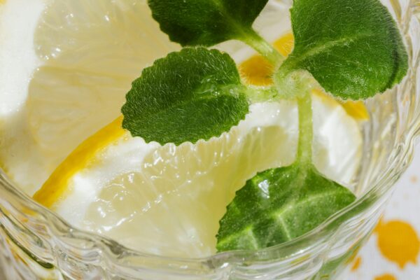 Closeup glass of fresh alcohol drink with pieces of lemon and leaves of mint